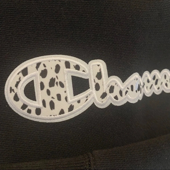 Champion UO Exclusive Animal Print Hoodie Medium Hood Sweatshirt - Picture 4 of 10